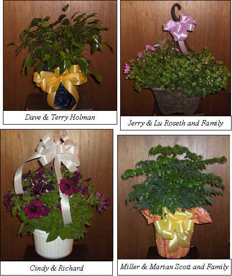 Flowers from 