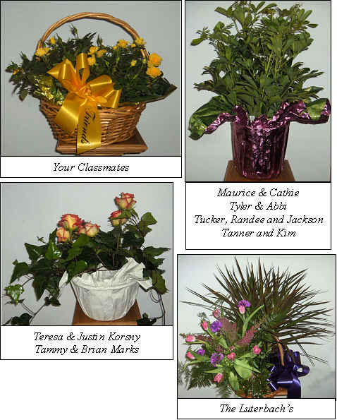 Flowers from 
