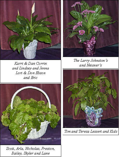 Flowers from 