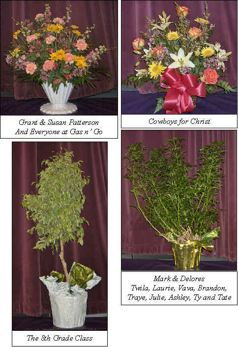 Flowers from 