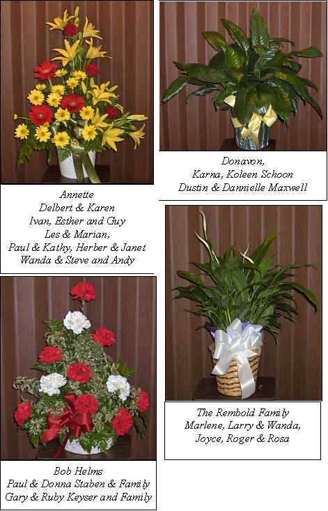 Flowers from 
