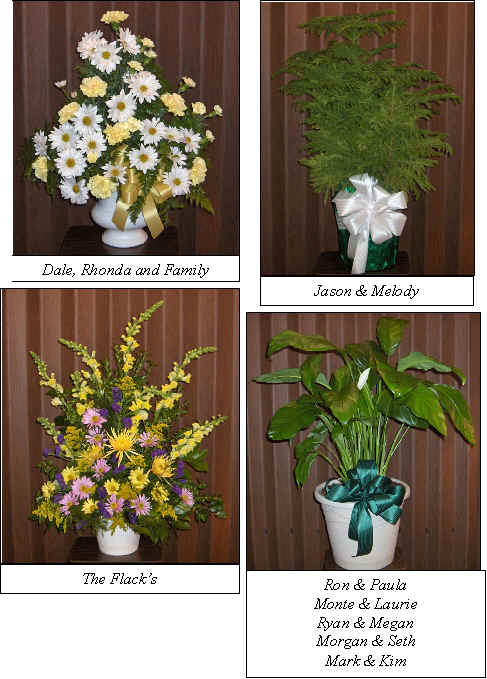 Flowers from 