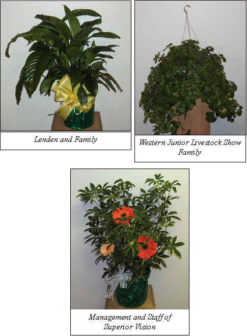 Flowers from 