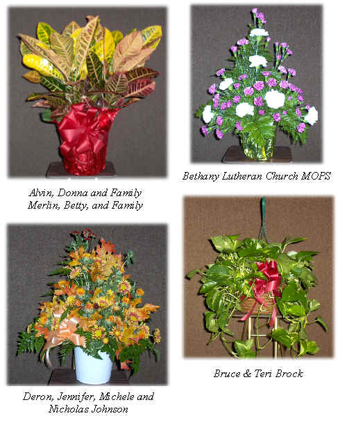 Flowers from 