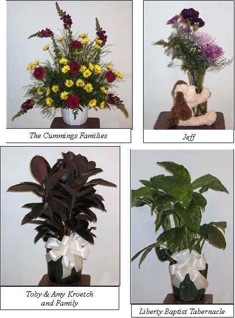Flowers from 