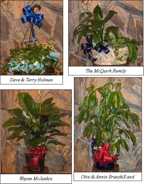 Flowers from 