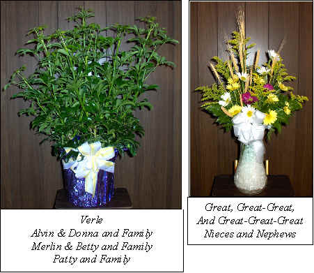 Flowers from 