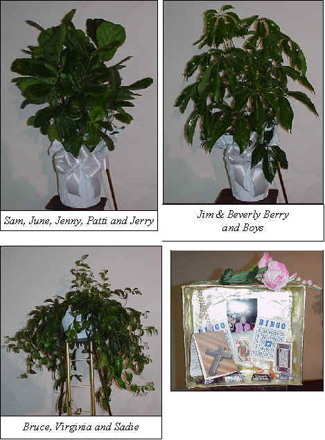 Flowers from 