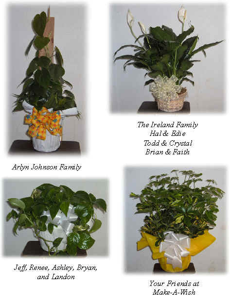 Flowers from 