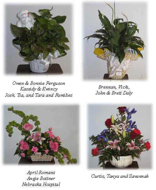 Flowers from 