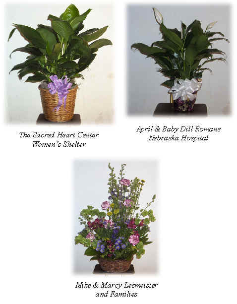 Flowers from 