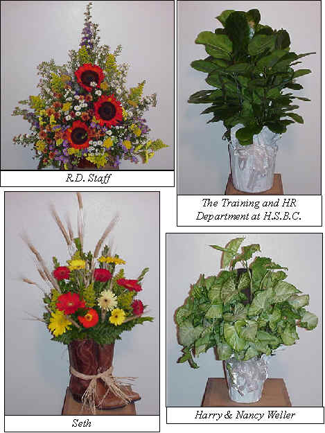 Flowers from 