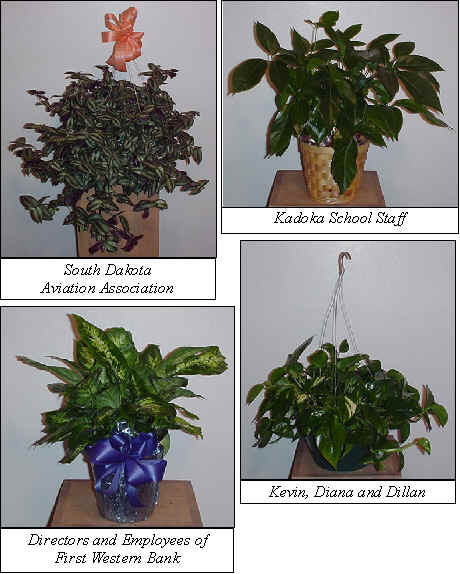 Flowers from 