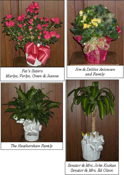 Flowers from 