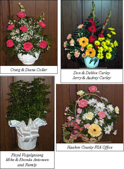 Flowers from 