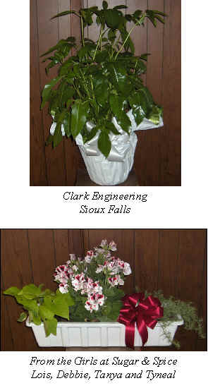 Flowers from 