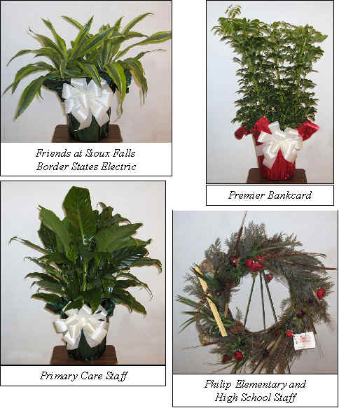Flowers from 