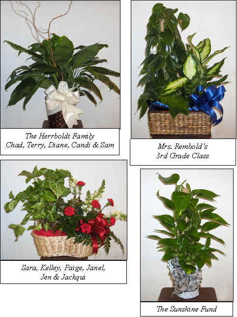 Flowers from 