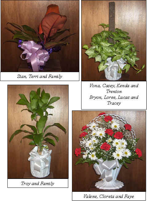 Flowers from 