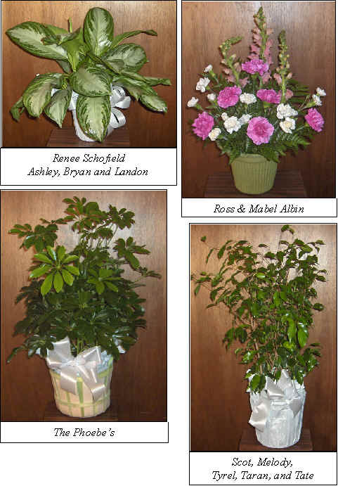 Flowers from 