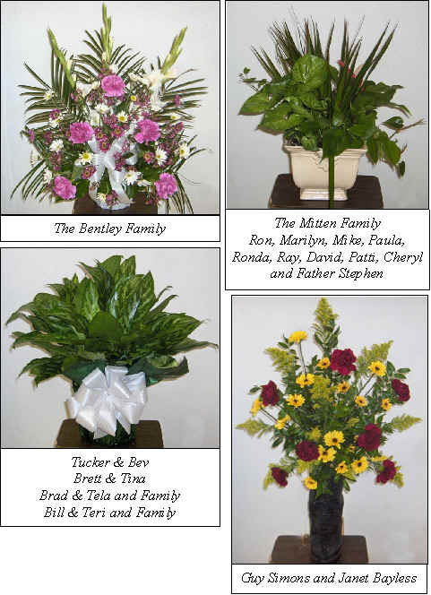 Flowers from 