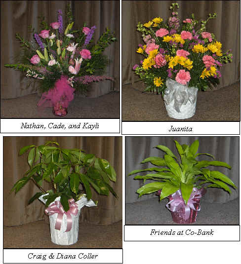 Flowers from 