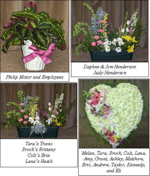 Flowers from 
