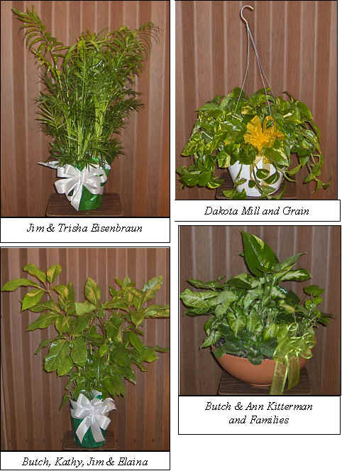Flowers from 