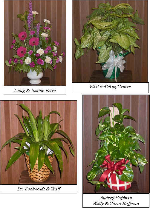 Flowers from 