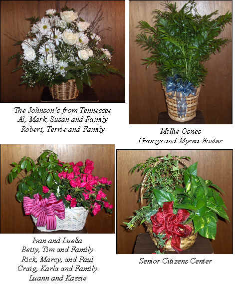 Flowers from 