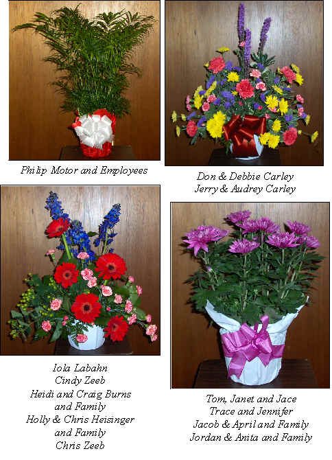 Flowers from 