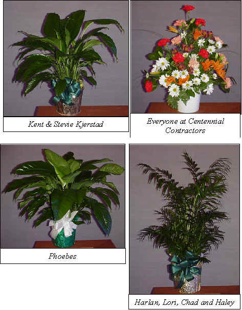 Flowers from 