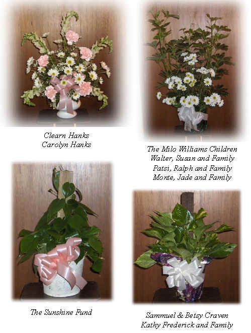 Flowers from 