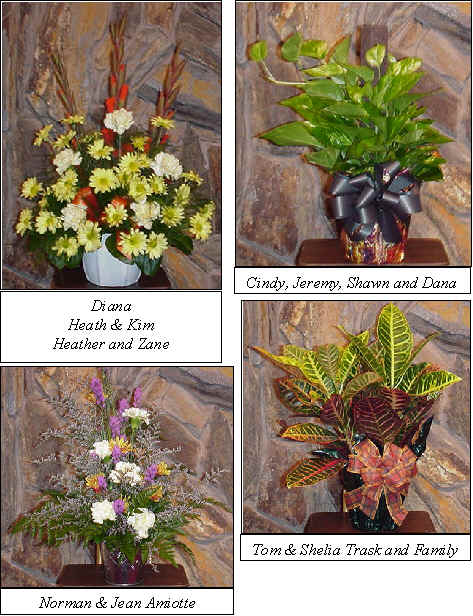 Flowers from 