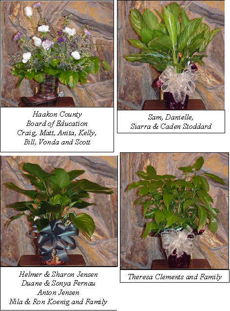 Flowers from 