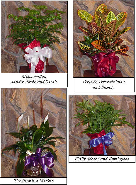 Flowers from 
