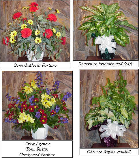 Flowers from 