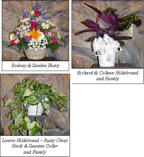 Flowers from 