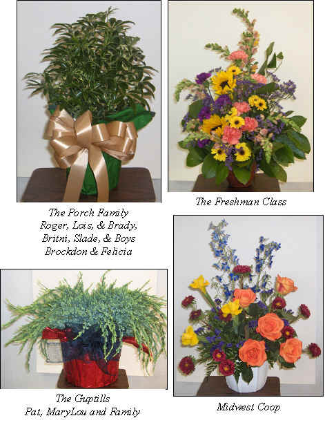 Flowers from 