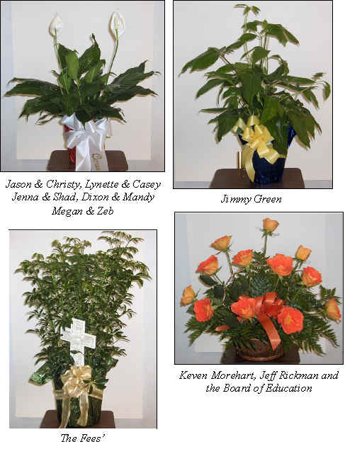 Flowers from 
