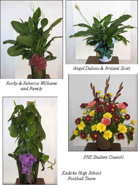 Flowers from 