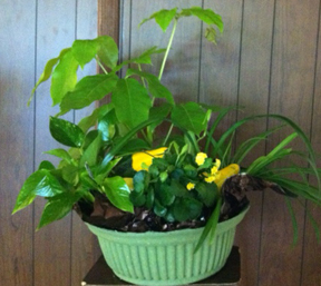 Flowers from Jim and Debbie Antonsen and Family
