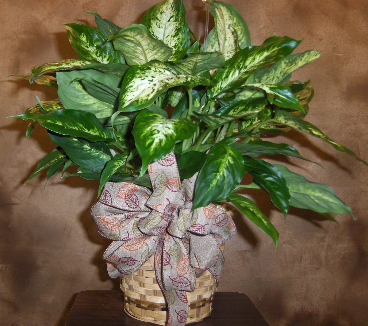 Flowers from Mid Central Staff & Board