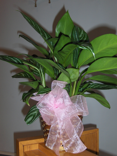 Flowers from Bob & Mary Slaba and Family