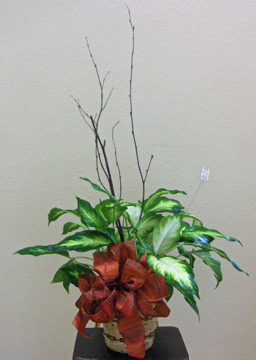 Flowers from Coca-Cola of Pierre