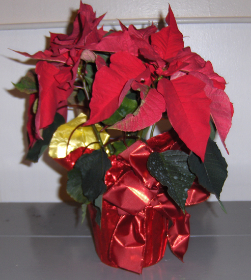 Flowers from Rebecca & Rocky Williams