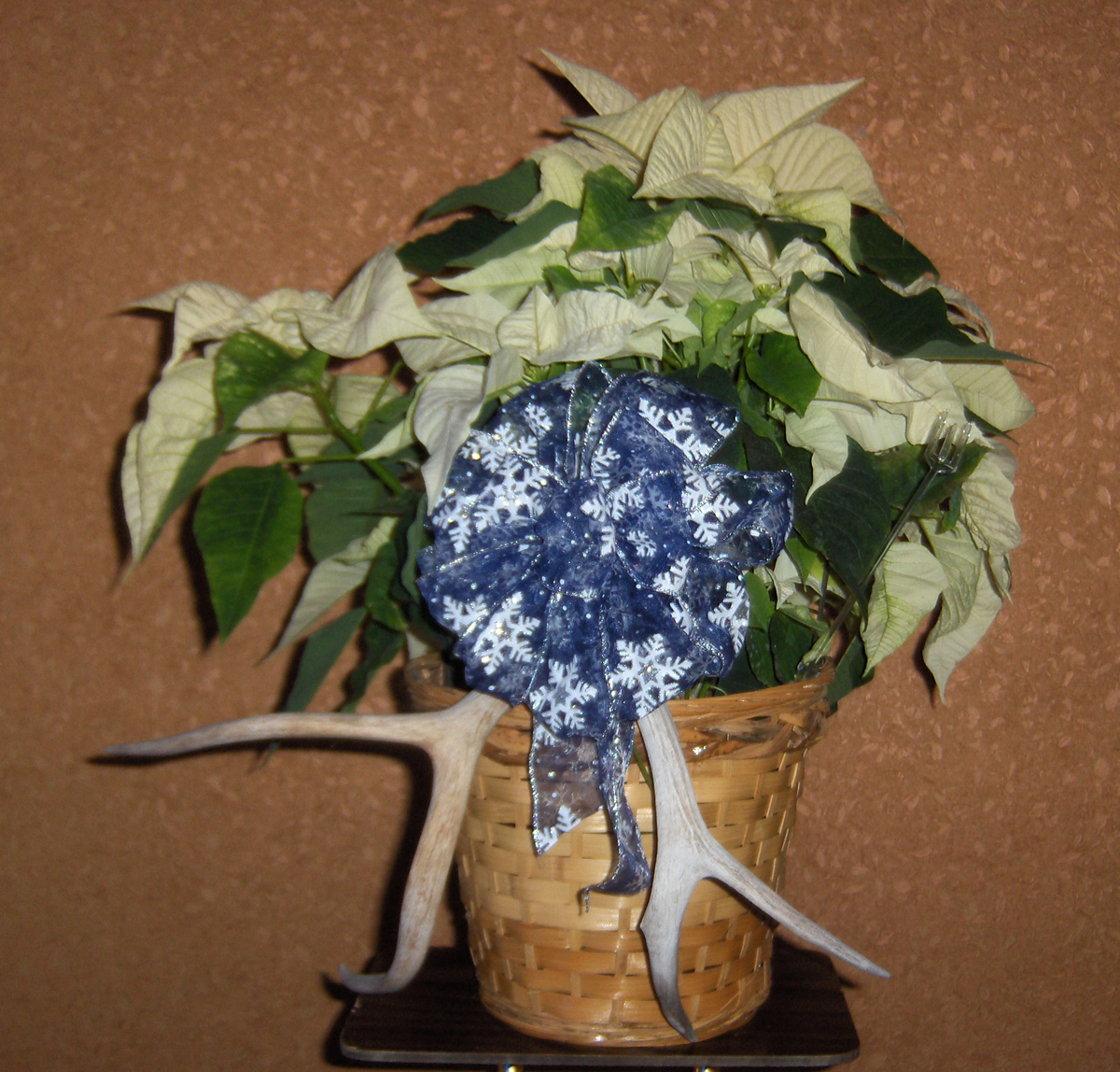Flowers from LeRoy & Family