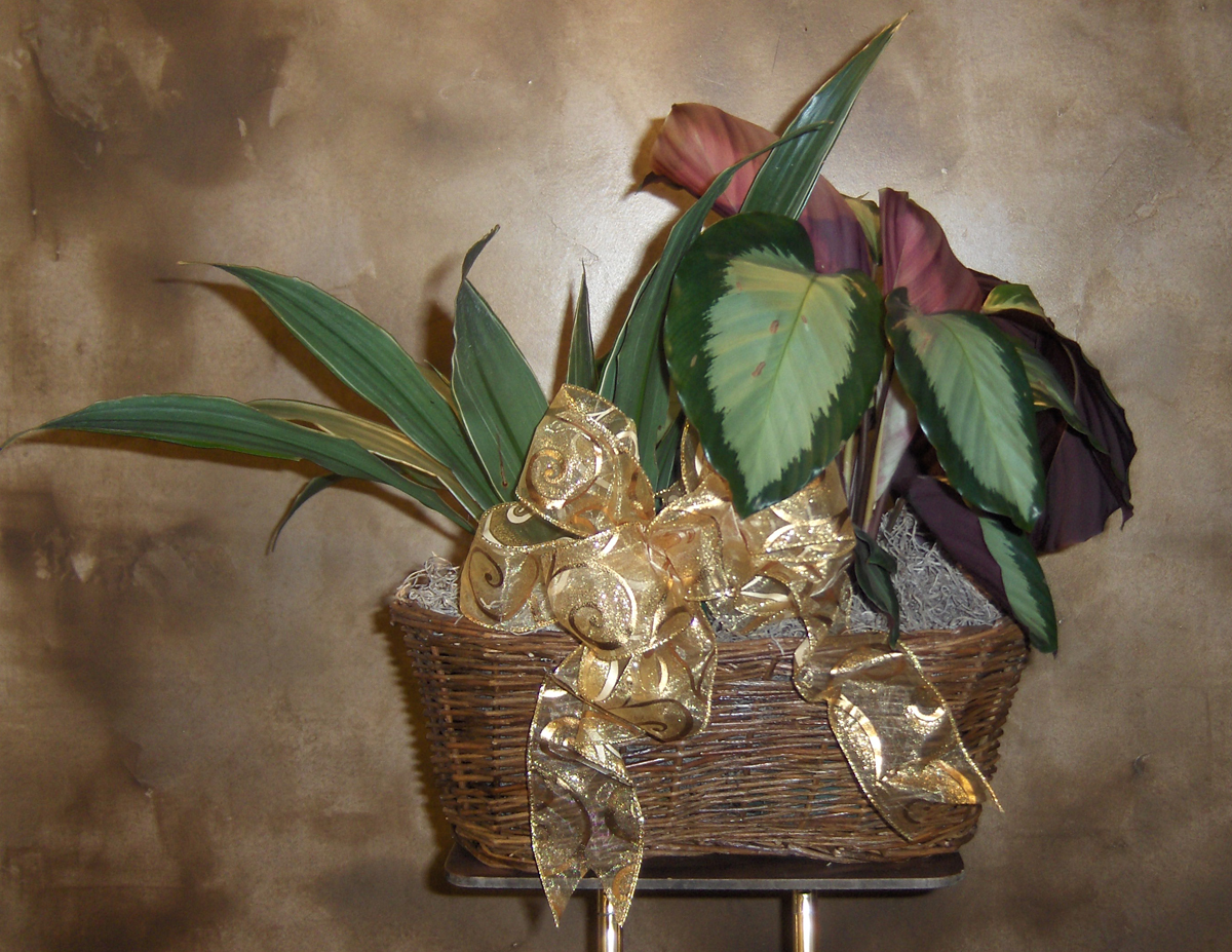 Flowers from Bruce and Sharon Barnett