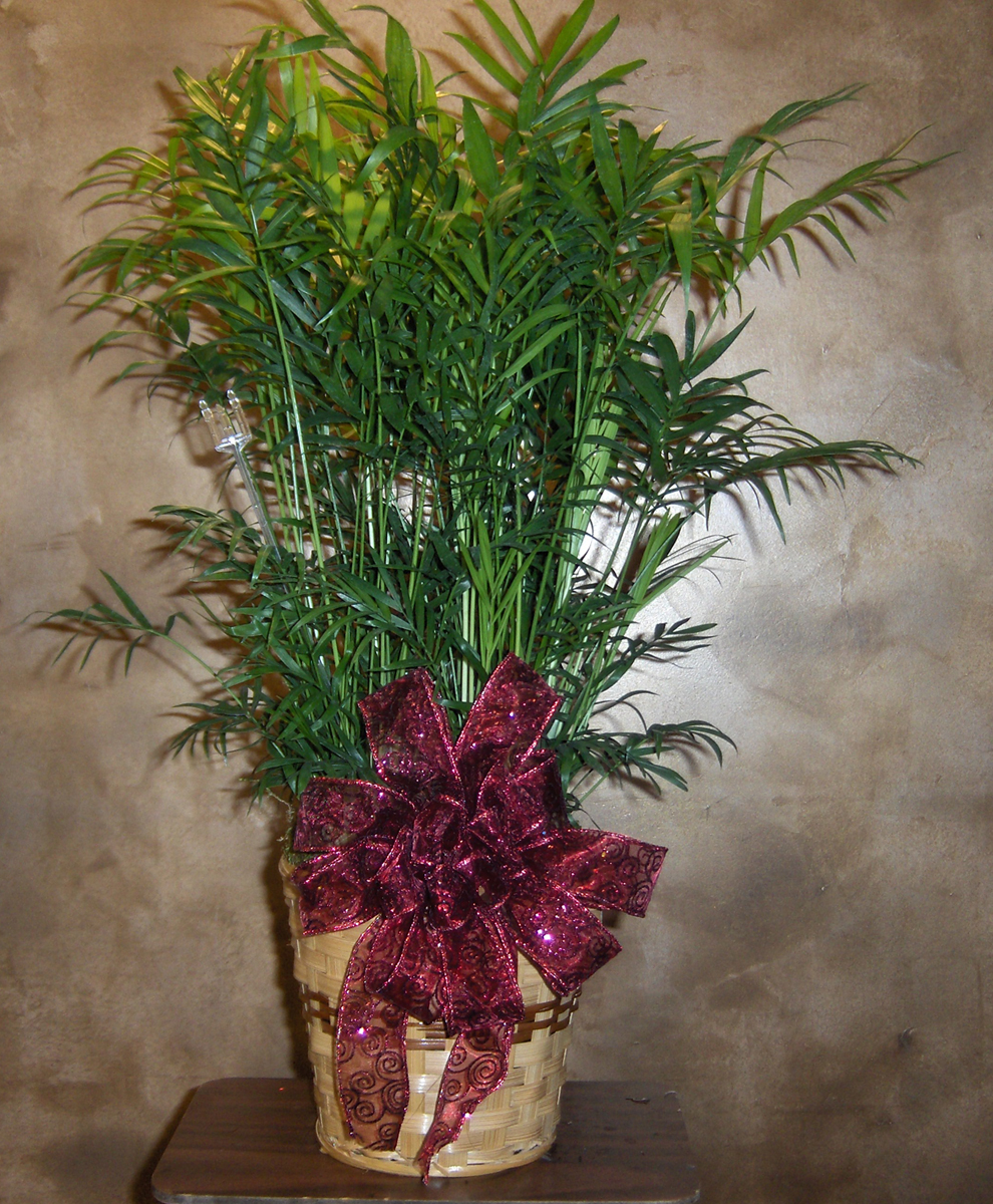 Flowers from The 73 Bar and Employees