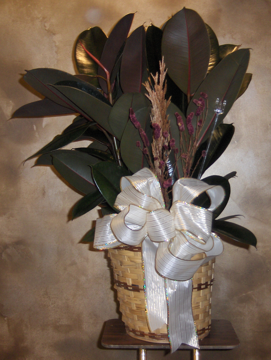 Flowers from Gene and Sheryl